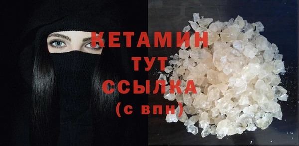 прущие грибы Елизово