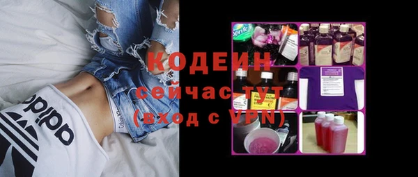 прущие грибы Елизово