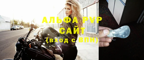 прущие грибы Елизово