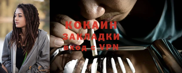 прущая мука Ельня