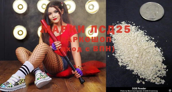прущие грибы Елизово