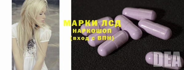прущие грибы Елизово
