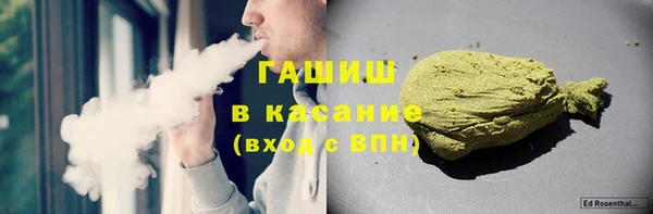 прущие грибы Елизово
