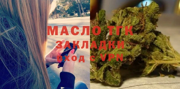 прущие грибы Елизово