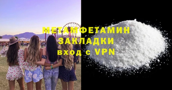 прущие грибы Елизово