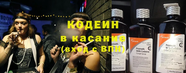 прущие грибы Елизово