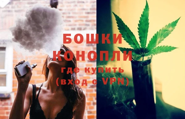 прущие грибы Елизово