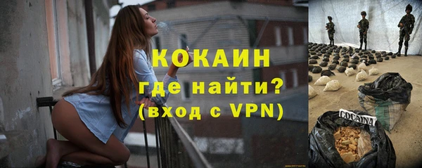 прущие грибы Елизово