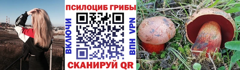 Купить закладки  Приозерск  Галлюциногенные грибы Cubensis 